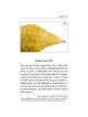 Halachic Handbook: The Laws of the Succah and Four | Sukkot | Judaica